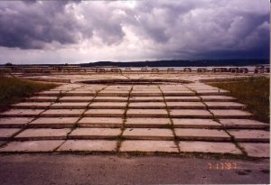 2826_72423189020_5977791_n