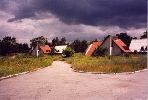 2826_72423279020_3139883_n