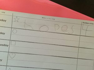 11958051_10153148916399021_6090179808241058497_o