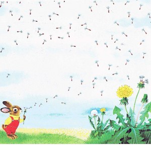 3720250828_b0eb4773c8_b