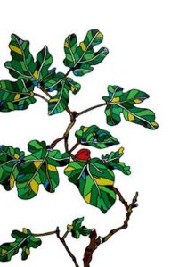 drawn-branch-fig-tree-20